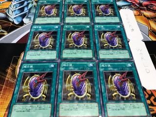 龍の鏡 ノーマル 9枚セット