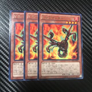 Vサラマンダー R