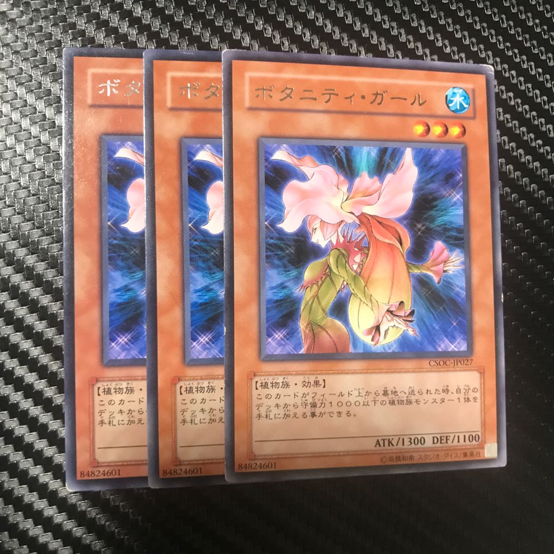 ボタニティ・ガール R