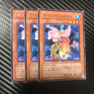 ボタニティ・ガール R