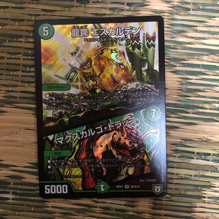 エスカルデン マクスカルゴ・トラップ