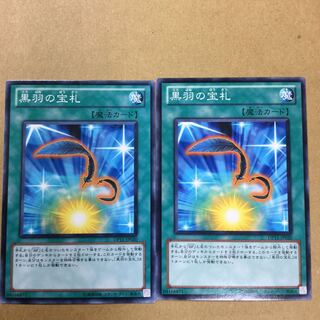 黒羽の宝札　２枚