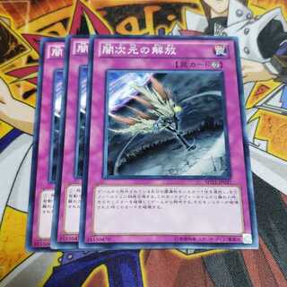 闇次元の解放 N 遊戯王 虎ふぐ