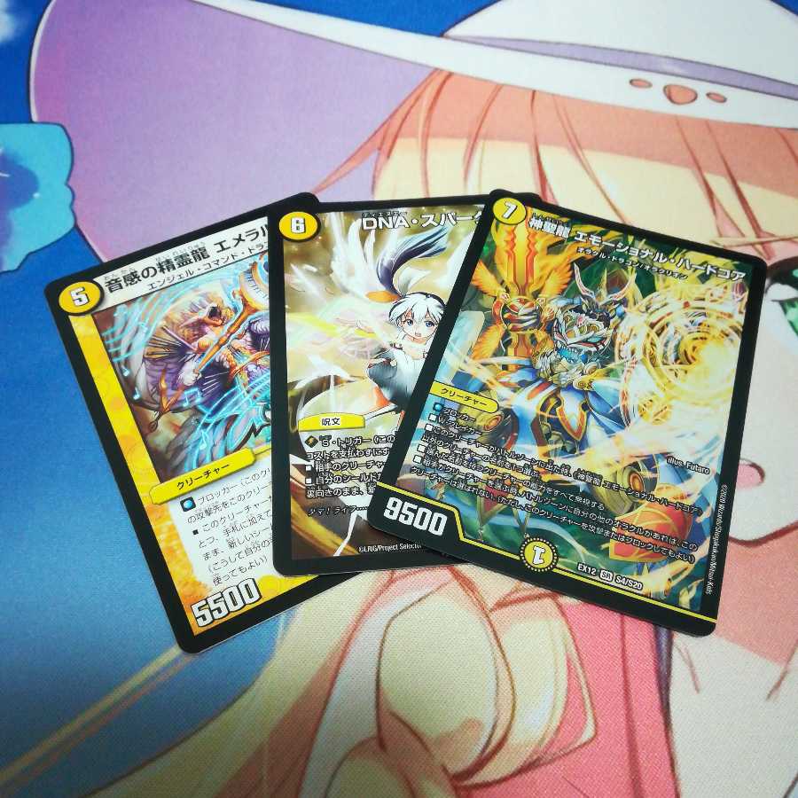 神聖龍 エモーショナル・ハードコア