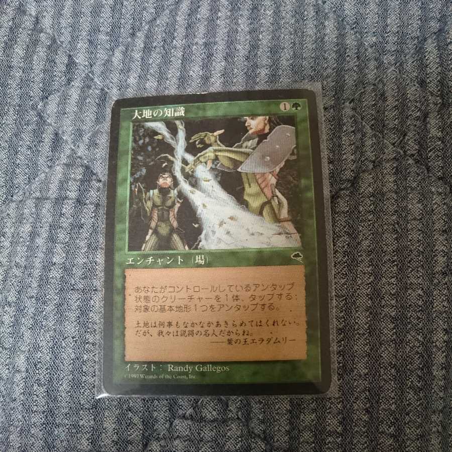 大地の知識 １枚