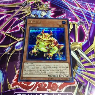 鬼ガエル【シク】