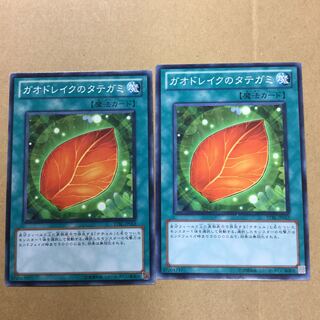 ガオドレイクのタテガミ　２枚