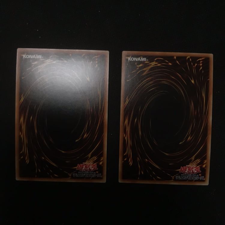 真紅眼の亜黒竜とお心づくし