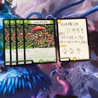 シビレアシダケ