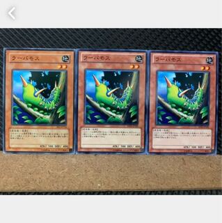 Popotan] Yu-Gi-Oh! 5569 Larvae Moth, 3 normal