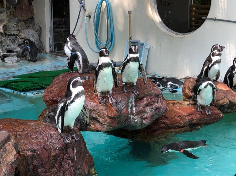 げんさん専用ページ