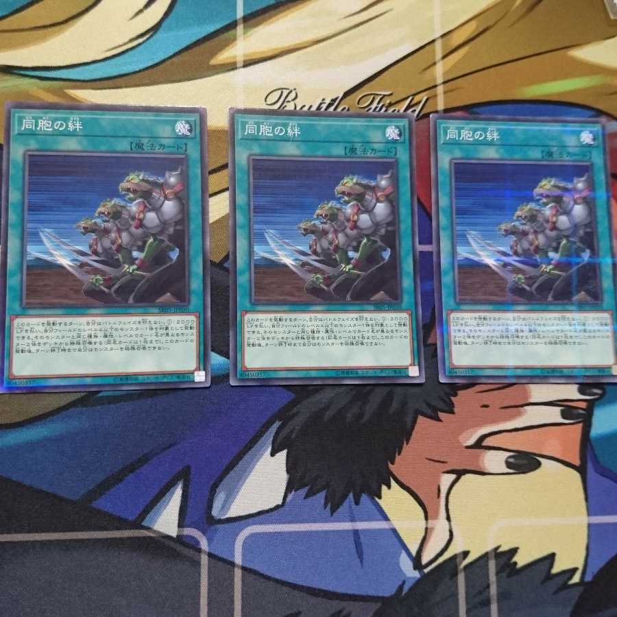 同胞の絆 ノーマルパラレル 3枚