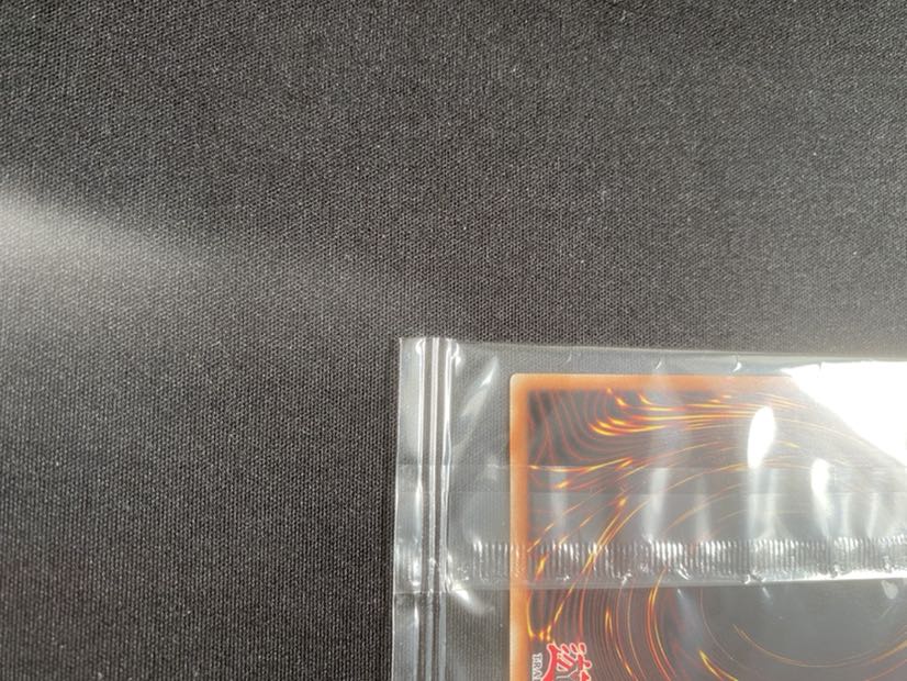 格安！　 天元の荒鷲王　カイザーイーグル　Kaiser eagle未開封