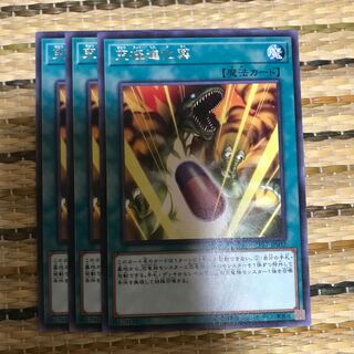 マドレース 究極進化薬 R