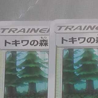 トキワの森２枚 たまごさん専用