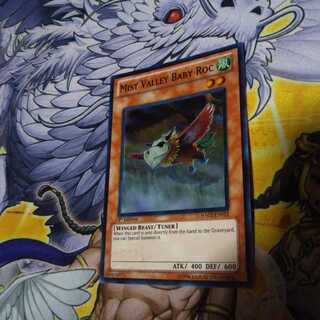 霞の谷の幼怪鳥 英語