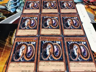 限界竜シュヴァルツシルトノーマル 9枚セット てら