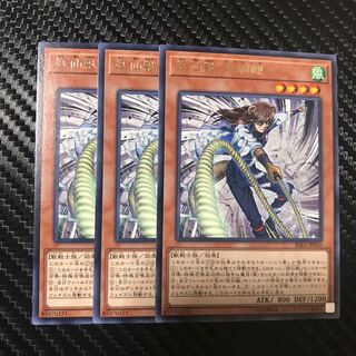 妖仙獣 飯綱鞭 R