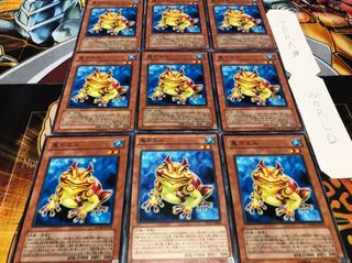 Swap Frog Normal, set of 9, Tera