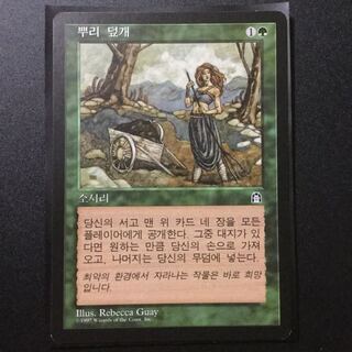 MTG 『根囲い』 韓国語 1枚の通販 sujin（1525493399） | magi