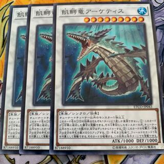 飢鰐竜アーケティス3枚