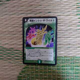 爆進イントゥ・ザ・ワイルド