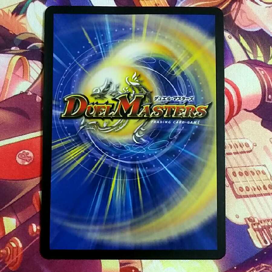 わけあり特価 水上第九院 シャコガイル