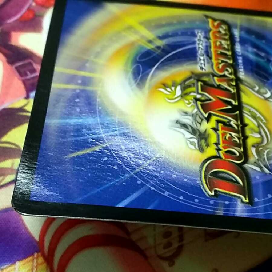 わけあり特価 水上第九院 シャコガイル