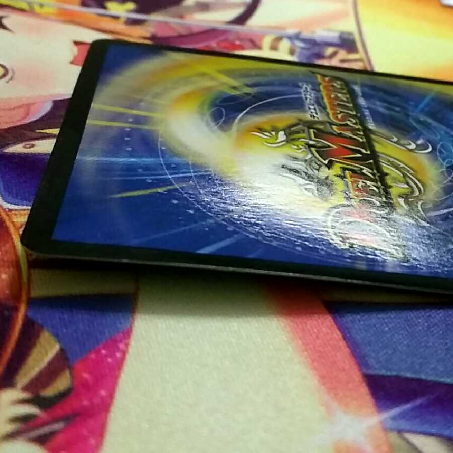 わけあり特価 水上第九院 シャコガイル