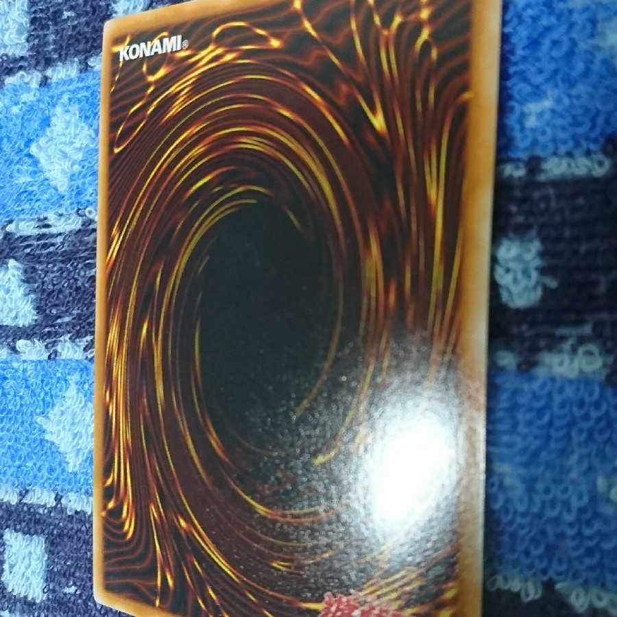 ムン様専用 1枚