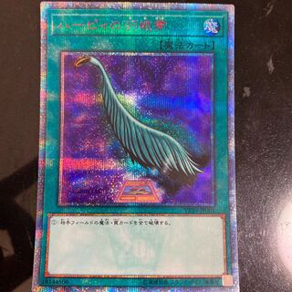 ハーピィの羽根帚 20thSE