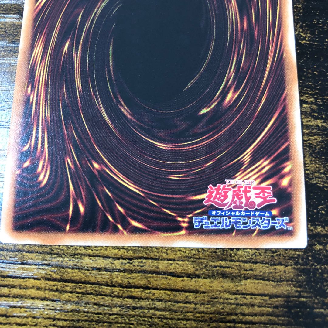 週末限定値下げ 電脳堺媛-瑞々 PSE