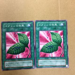 ゴブリンの秘薬　２枚