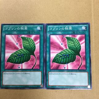 ゴブリンの秘薬　２枚