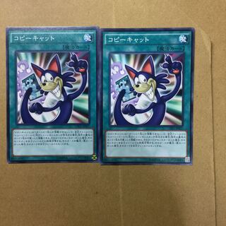 コピーキャット　２枚