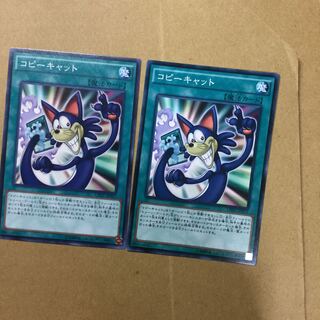 コピーキャット　２枚