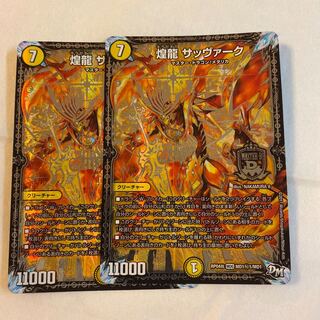 煌龍 サッヴァーク SE 2枚