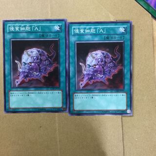 侵食細胞「A」　２枚