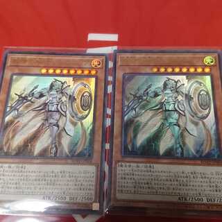 教導の騎士フルルドリス UL