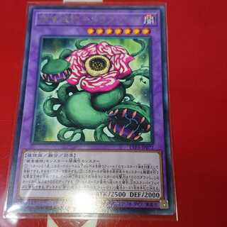 捕食植物キメラフレシア R