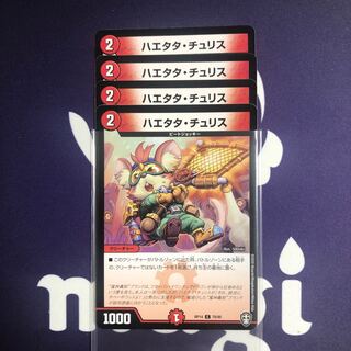 ハエタタ・チュリス　４枚