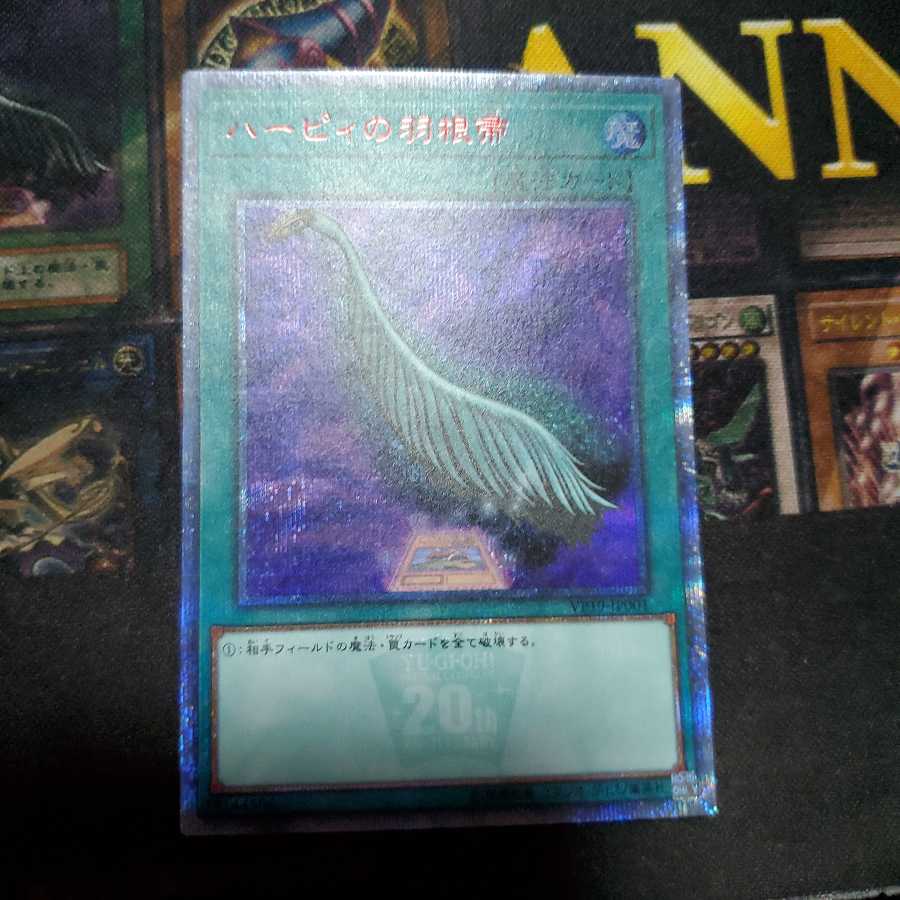 ハーピィの羽根帚 20thSE