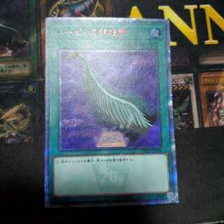 ハーピィの羽根帚 20thSE