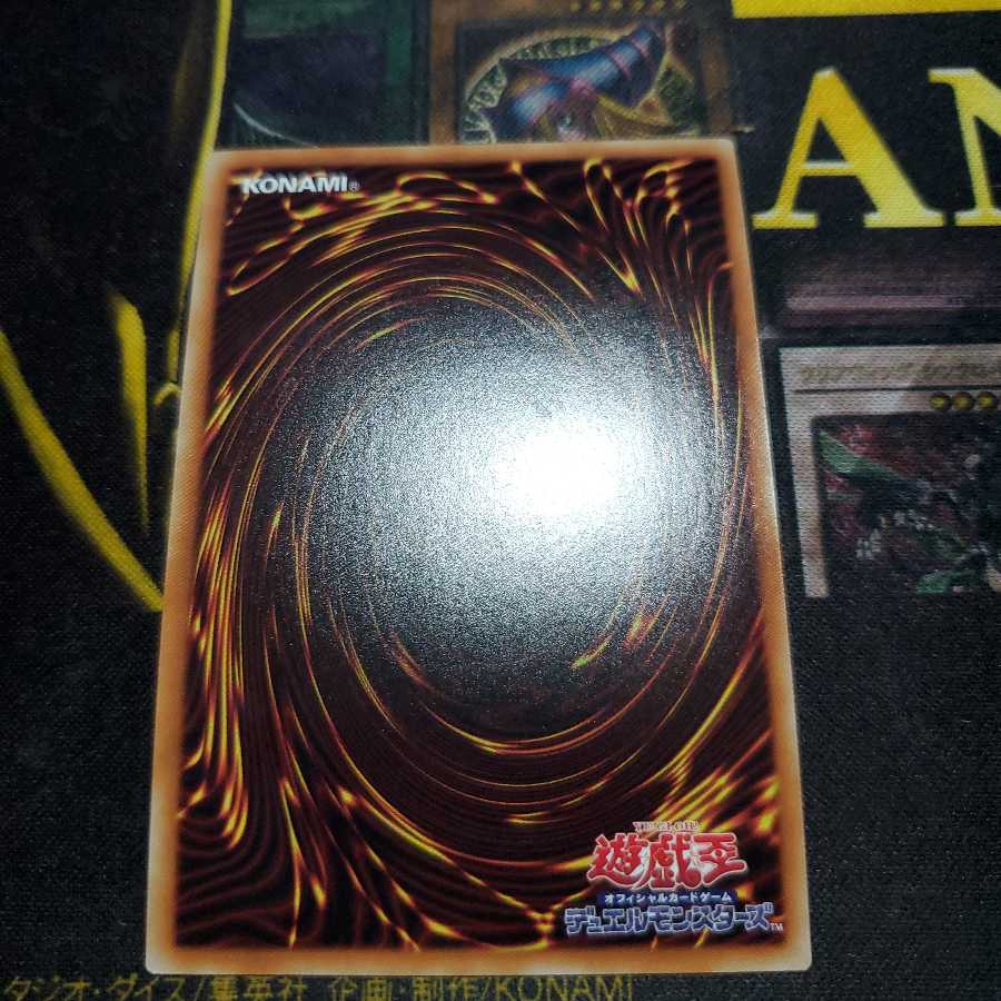 ハーピィの羽根帚 20thSE