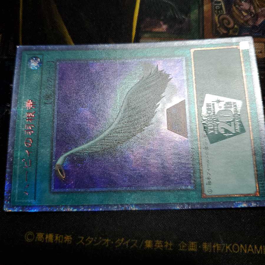 ハーピィの羽根帚 20thSE