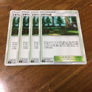 トキワの森 4枚