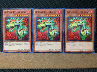 【ぽぽたん】遊戯王 6669 エヴォルダー・エリアス 3枚 ノーマル