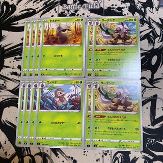 タネボー　コノハナ  ダーテング