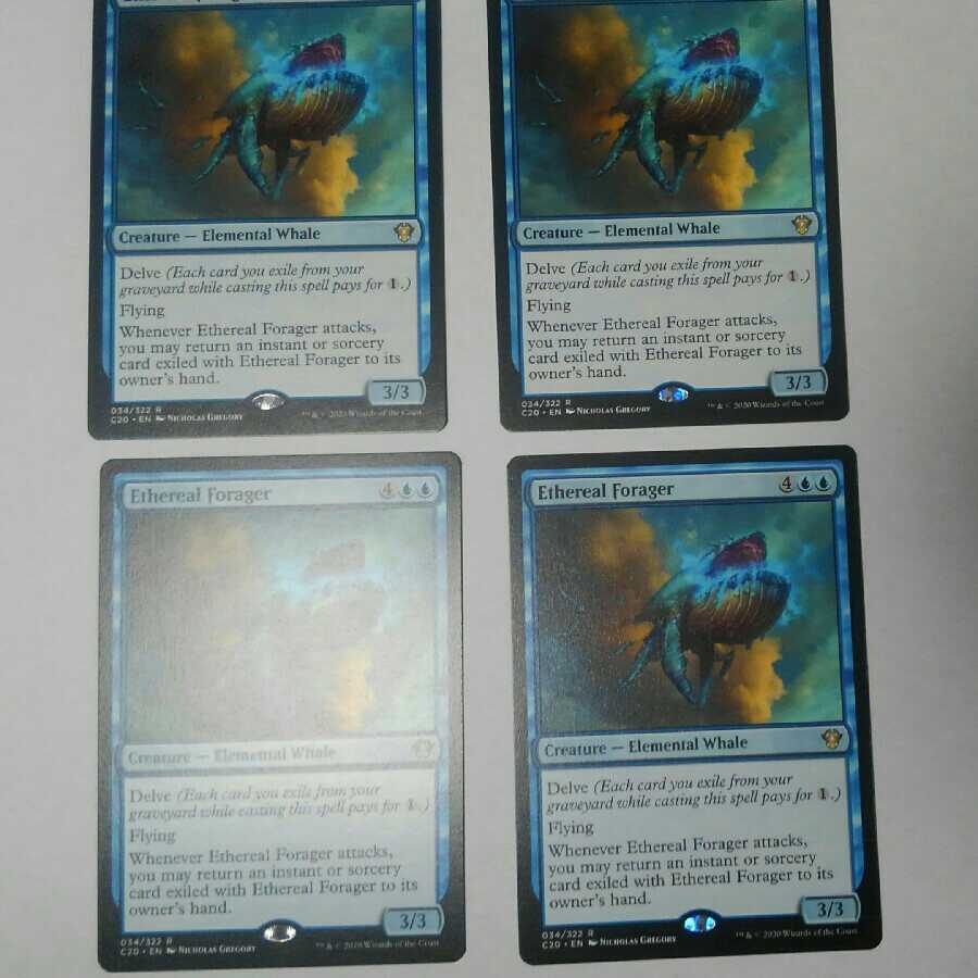 天上の餌あさり　4枚