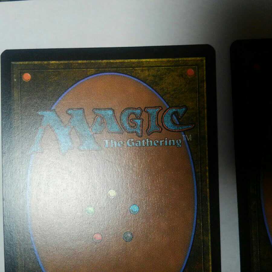 真実の視認　4枚